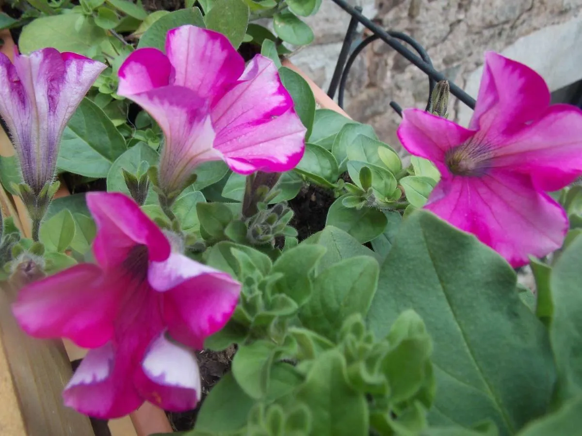 Le Cintrium Bed and Breakfast Viala-du-Tarn